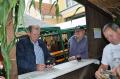 2010_dorffest_016.jpg