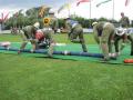 20110701_lflb_oslip_020.jpg