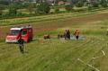 aue_120610-_5_.jpg