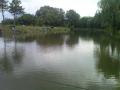 fffischen_2010-_3_.jpg