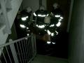20110405_zu_007.jpg