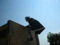 tfa2011_003.jpg