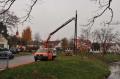 20111123_storchennest_001.jpg