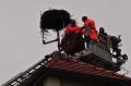 20111123_storchennest_005.jpg