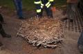 20111123_storchennest_009.jpg