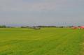 20130615_khdu_004.jpg
