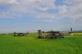 20130615_khdu_009.jpg