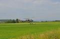 20130615_khdu_023.jpg