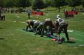 20140524_bflb_schuetzen_023.jpg
