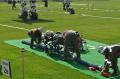 20140628_lflb_st_georgen_015.jpg