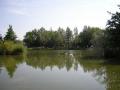 20140726_fffischen_003.jpg