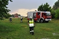 20180605_zu_rosenich_007.jpg