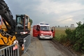 20180605_zu_rosenich_012.jpg