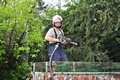 20180605_zu_rosenich_016.jpg
