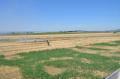 20130723_be_fl_hutweide_004.jpg