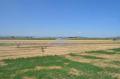20130723_be_fl_hutweide_006.jpg