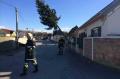 20140316_te_sturmschaden_015.jpg
