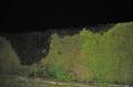 20141104_be_seestrasse_009.jpg
