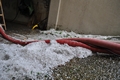 20160705_te_unwetter_004.jpg