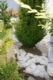 20160705_te_unwetter_014.jpg