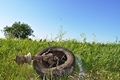 20160722_te_vu_b52_026.jpg