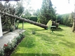 20170810_te_sturmschaden_22.jpg
