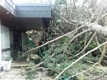 20170810_te_sturmschaden_23.jpg