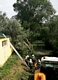 20170810_te_sturmschaden_26.jpg
