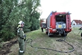20180828_be_hundeauslauf_006.jpg