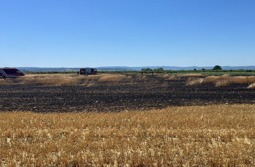 Gro­ßer Flur­brand nahe der Hutweide